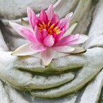 bigstock-Buddha-hands-holding-flower-47788762