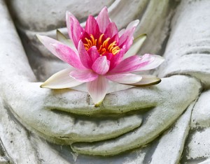 Meditation and lotus